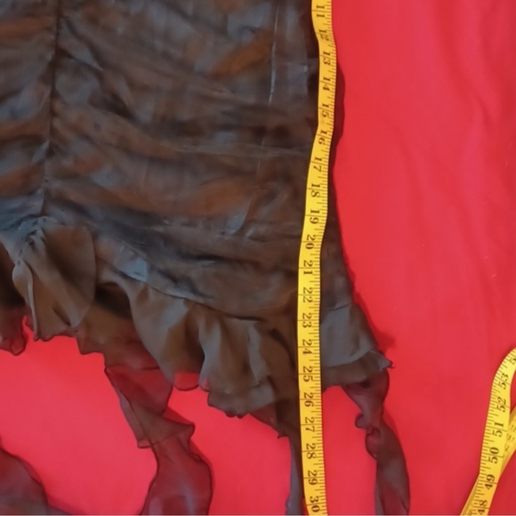 Black Bird - Picture 8 of 13